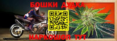 прущие крисы Обь